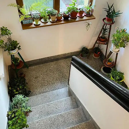 007 с градинка Apartment